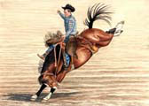 Western, Equine Art - Saddle Bronc